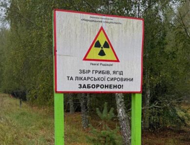 Викрито організаторів здачі в оренду земель Чорнобильської зони