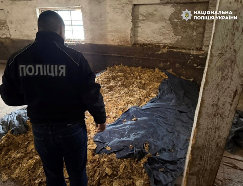 Викрито схему повного циклу виробництва нелегального тютюну на Закарпатті