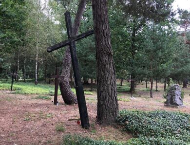 За час пошуків жертв Волинської трагедії знайдені останки чотирьох осіб