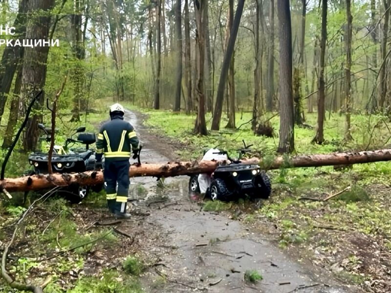 Загиблі та поранені: ДСНС показала наслідки стихії