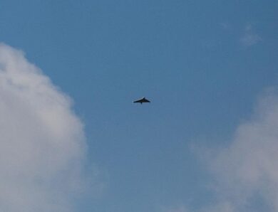 Заява ЗМІ про шахеди з Білорусі: Флеш уточнив дані