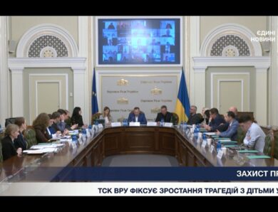 Безпека дітей у родинах: результати роботи парламентського ТСК