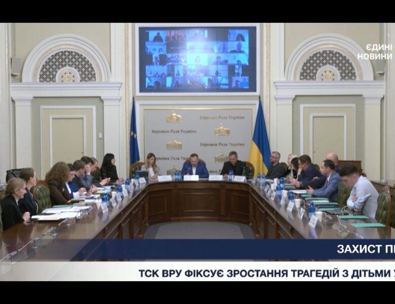 Безпека дітей у родинах: результати роботи парламентського ТСК