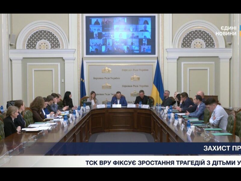 Безпека дітей у родинах: результати роботи парламентського ТСК