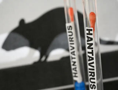 Хантавірус і глобальна паніка: кому вигідний новий страх