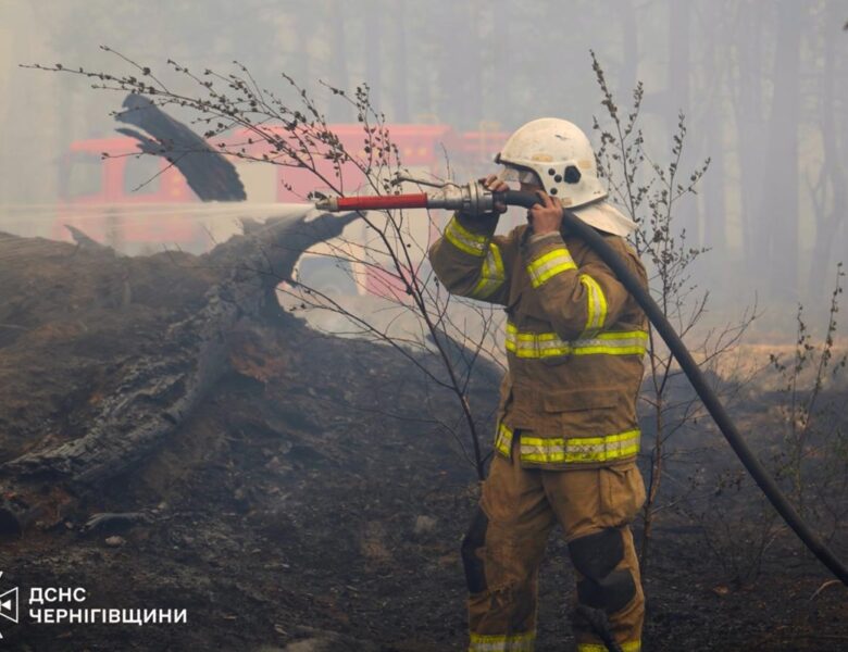 На Чернігівщині локалізували лісову пожежу