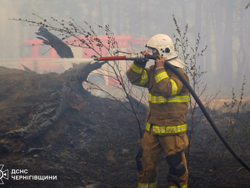 На Чернігівщині локалізували лісову пожежу