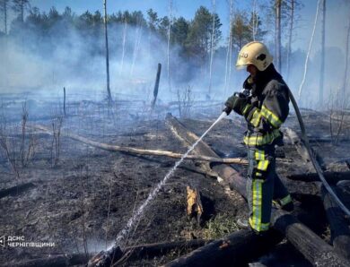 На Чернігівщині палають тисячі гектарів лісу