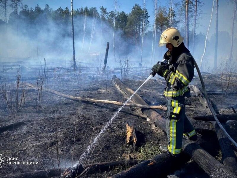 На Чернігівщині палають тисячі гектарів лісу