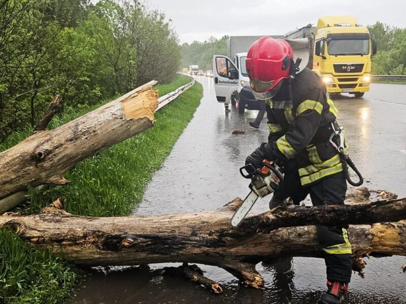 Повалені дерева перекрили траси: Україну накрила негода