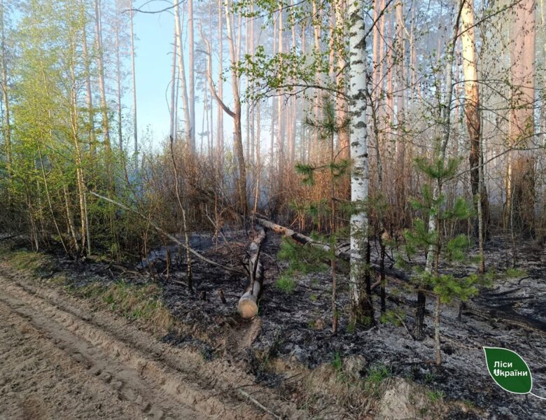 Пожежу площею 5800 га локалізували на Чернігівщині