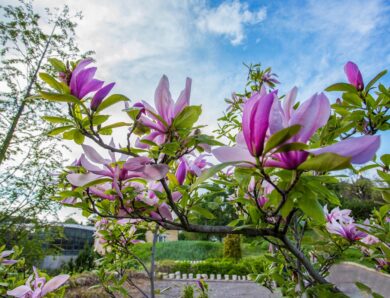 Прогріє до 25&deg;: якою буде погода на початку тижня