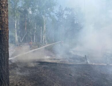 Російські дрони знову підпалили зону відчуження