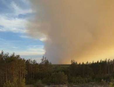 У Польщі під час гасіння лісової пожежі розбився літак