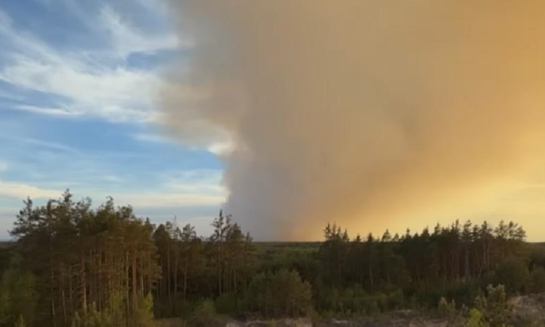 У Польщі під час гасіння лісової пожежі розбився літак