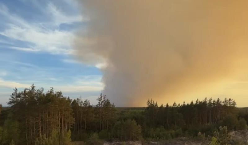 У Польщі під час гасіння лісової пожежі розбився літак