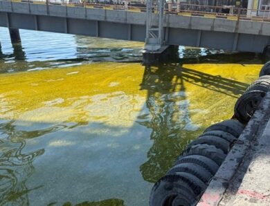 У Тузлівських лиманах площа забруднення олією зросла вдвічі