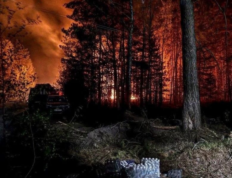 У Зоні відчуження триває ліквідація лісової пожежі