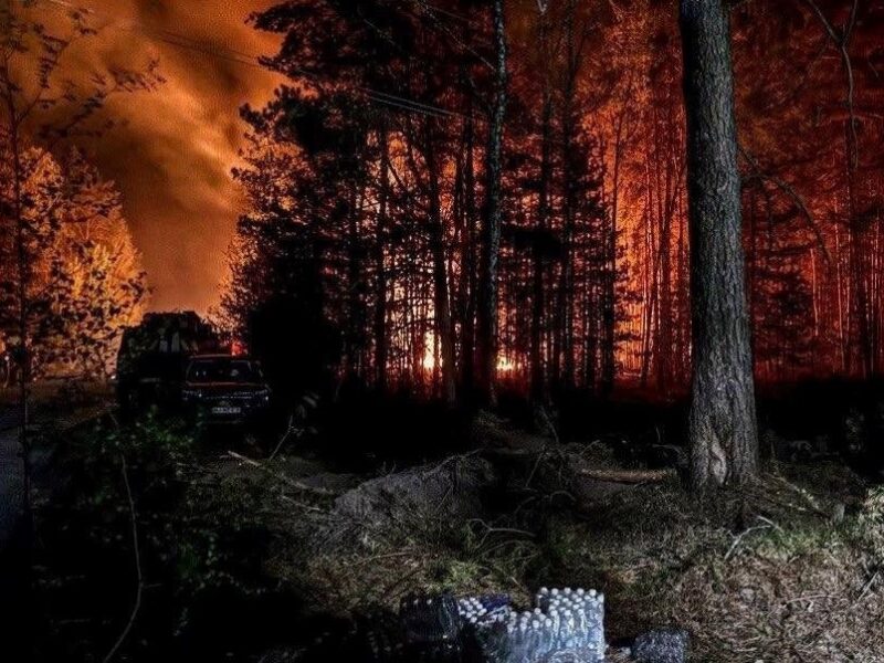 У Зоні відчуження триває ліквідація лісової пожежі