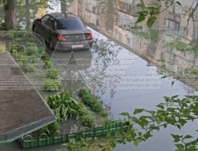 В Енгельсі заявили про “фекальний апокаліпсис”
