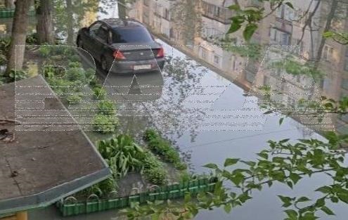 В Енгельсі заявили про “фекальний апокаліпсис”