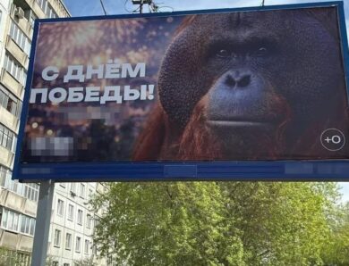 В РФ до Дня перемоги повісили банер з мавпою