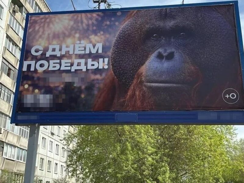 В РФ до Дня перемоги повісили банер з мавпою