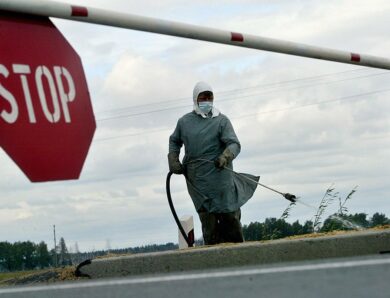В Росії підтвердили виявлення ящуру