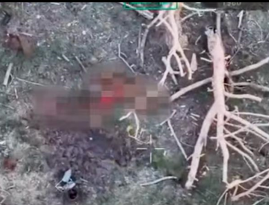 Військові показали знищення окупантів на Сумщині