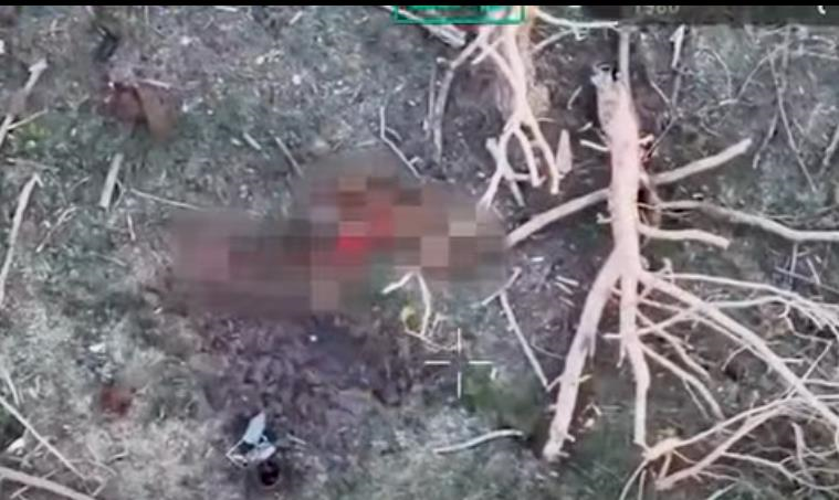 Військові показали знищення окупантів на Сумщині