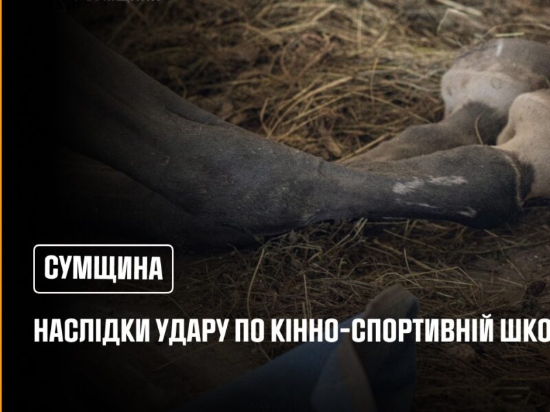 Суми: рятувальники ліквідували наслідки російського удару по території кінно-спортивної школи