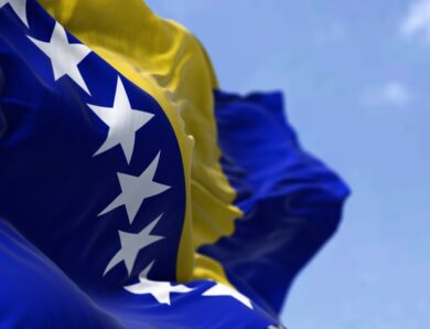 Боснія і Герцеговина долучилася до коаліції з повернення дітей