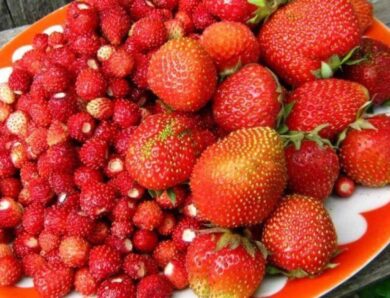 Гороскоп для всіх знаків Зодіаку на 23 червня 2026 року