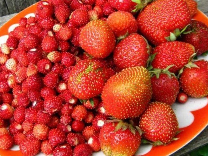 Гороскоп для всіх знаків Зодіаку на 23 червня 2026 року