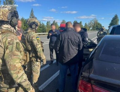 Легалізація 10 тисяч незаконно зрубаних дубів: викрито схему на 147 млн