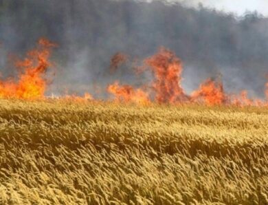 На Миколаївщині горіла пшениця через російські обстріли