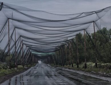 На Волині встановлять антидронові сітки поблизу кордону з Білоруссю