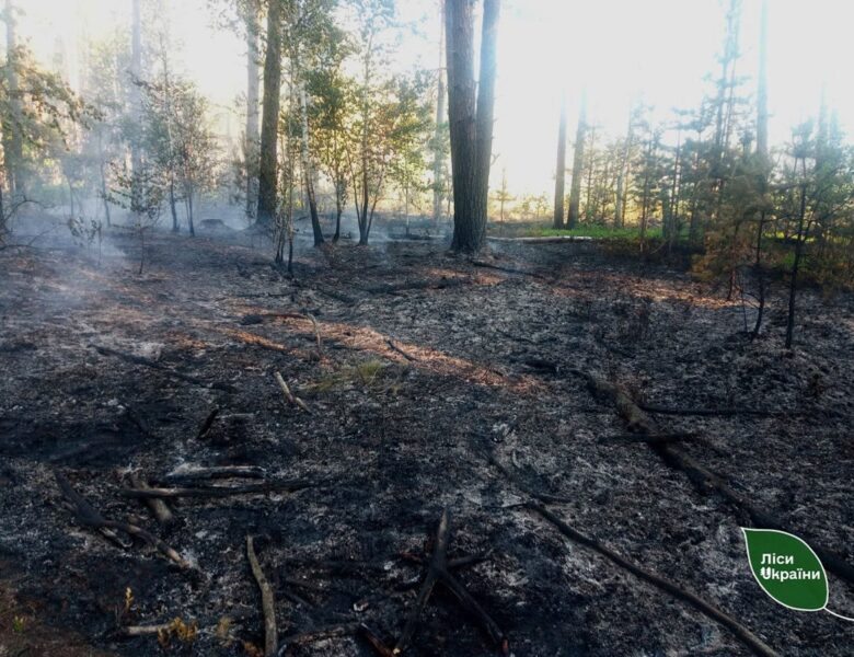 На Житомирщині російські дрони спричинили п&rsquo;ять лісових пожеж
