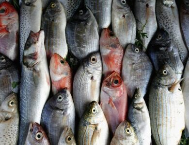 РФ заборонила ввезення риби та рибопродуктів з Вірменії