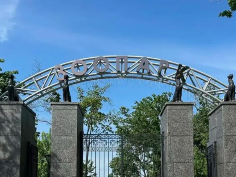 Росіяни вдарили по зоопарку в Харкові: постраждали тварини