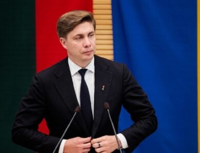 Сейм Литви затвердив Сінкявічюса новим прем&rsquo;єр-міністром