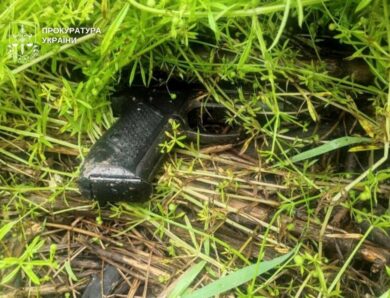 У Києві затримано іноземця за підозрою у вбивстві двох людей на СТО