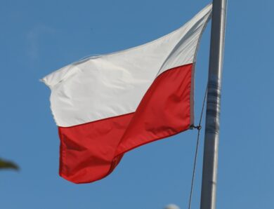 У Польщі викрили мережу впливу на українських біженців