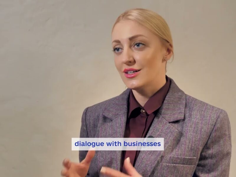 Faces of European Integration: Preparing the economy for integration into the EU internal market