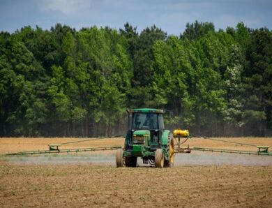 Українські аграрії засіяли 97% площ зернових