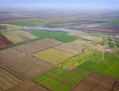 В Україні різко зросли ціни на землю