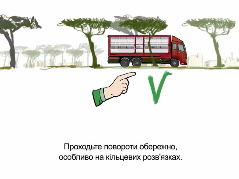 Належні та кращі практики транспортування овець
