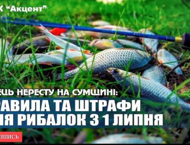 Рибальський сезон відкрито: що необхідно знати рибалкам