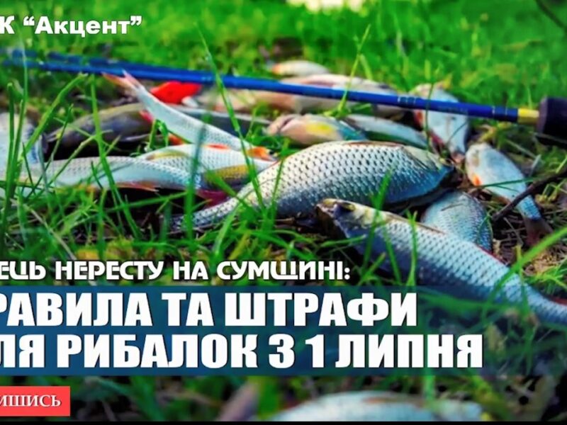 Рибальський сезон відкрито: що необхідно знати рибалкам
