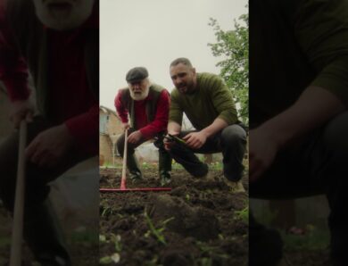 Твій город та поле змінилися!